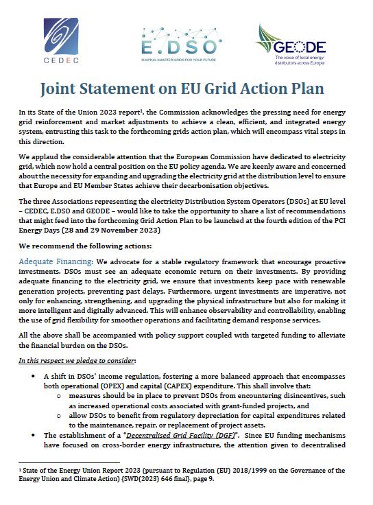 Joint Statement on EU Grid Action Plan