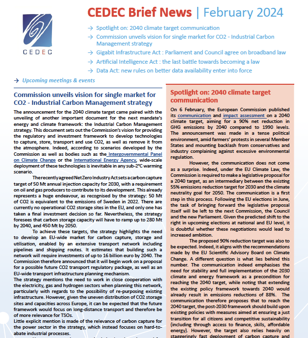 CEDEC Brief News February 2024