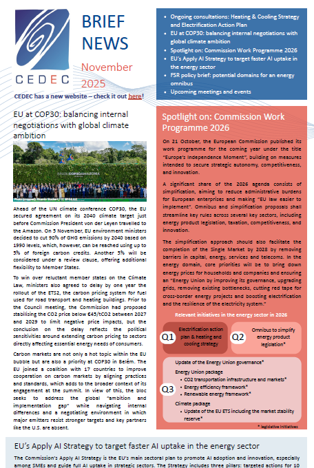 CEDEC Brief News November 2025