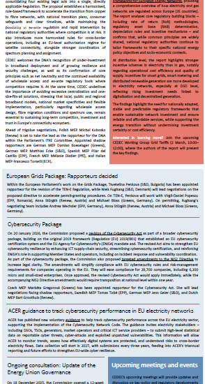 CEDEC Brief News February 2026