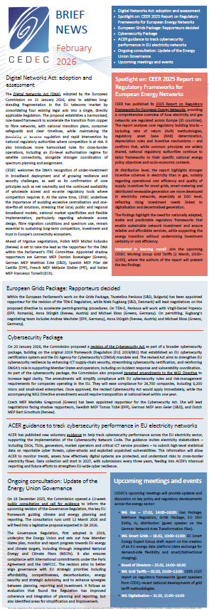 CEDEC Brief News February 2026