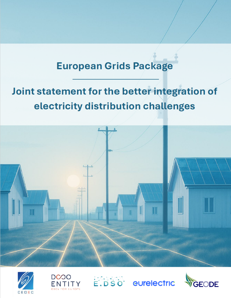 Joint Statement on the European Grids Package for the Better Integration of Electricity Distribution Challenges