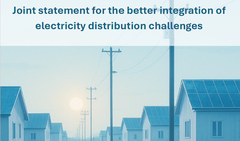 Joint Statement on the European Grids Package for the Better Integration of Electricity Distribution Challenges