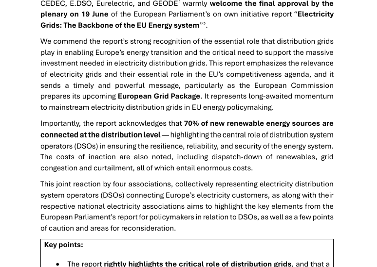 Joint Reaction to the EP INI Report “Electricity Grids: The Backbone of the EU Energy System”