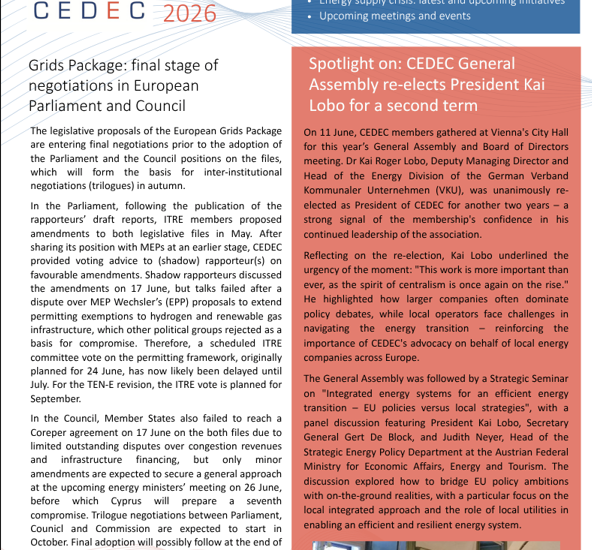 CEDEC Brief News June 2026