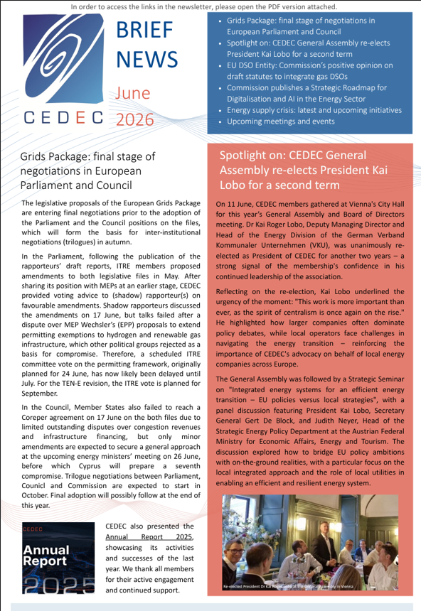 CEDEC Brief News June 2026