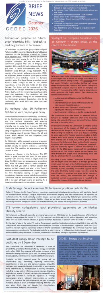 CEDEC Brief News October 2026