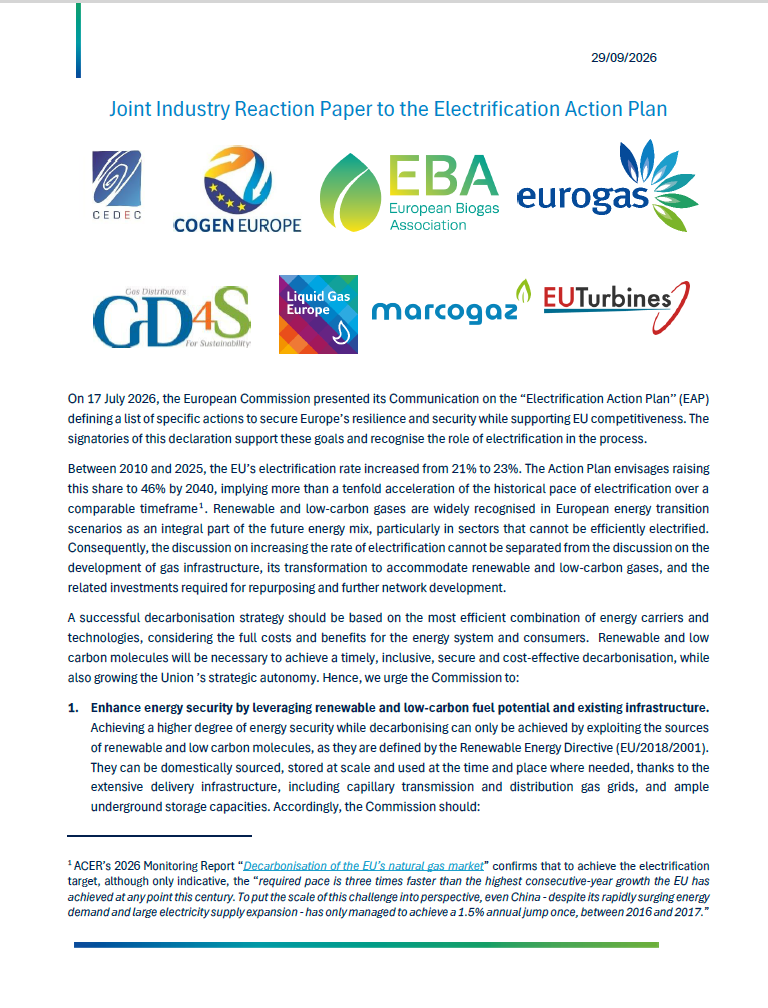 Joint Reaction to the Electrification Action Plan
